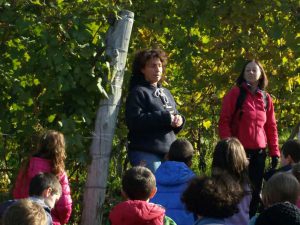 Fattoria didattica Cascina Gabtutti - Monforte d'Alba