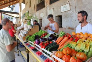 Casa Vacanze Fusina (Dogliani) - Open Garden Baladin: mercato