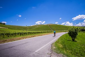 Casa Vacanze Fusina (Dogliani) -Ciclista pedala su strada nelle colline delle langhe