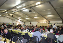 Casa Vacanze Fusina (Dogliani)  – Fiera del Bue Grasso a Carrù