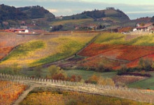 Casa Vacanze Fusina  – Dogliani Valdibà in autunno