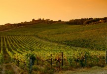 Passeggiata: Itinerario Piandeltroglio Passeggiata: Itinerario Piandeltroglio