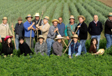 Casa Vacanze Fusina (Dogliani) – Fiera del Porro di Cervere