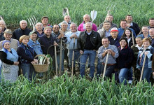 Casa Vacanze Fusina (Dogliani) – Fiera del Porro di Cervere