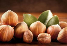 Casa Vacanze Fusina (Dogliani) – Nocciole