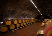 Casa Fusina (Dogliani) – Colline Unesco: Canelli – Cattedrali Sottoerranee – Cantine Coppo