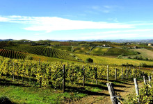 Casa Fusina (Dogliani) – Colline Unesco: Nizza Monferrato